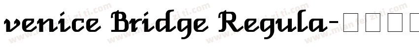 venice Bridge Regula字体转换